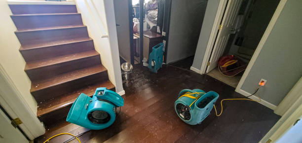 Best Water damage restoration near me  in Dexter, OR
