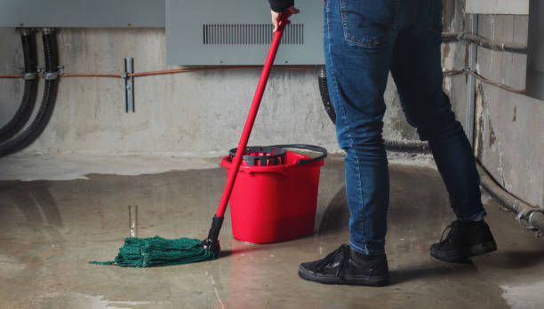 Best Local water damage restoration  in Dexter, OR