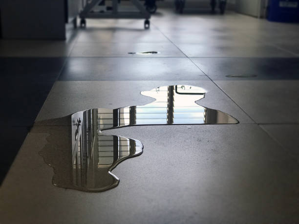 Best Water damage restoration experts  in Dexter, OR