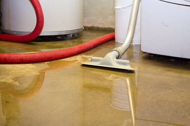 Best Flooded house restoration  in Dexter, OR