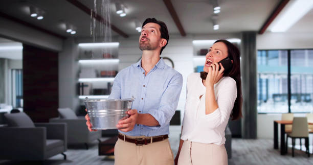  Dexter, OR Water damage restoration Pros